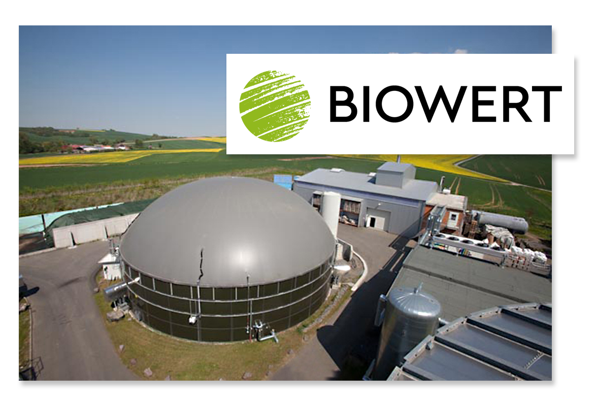 Referenz Biowert